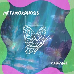 metamorphosis demo(prod. idly blare)