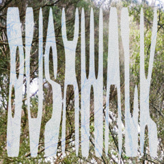 BUSHWALK VOL 1