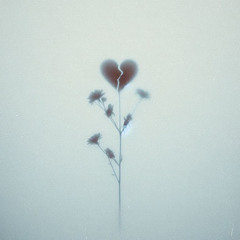 You gave me sweetheart