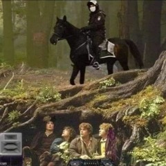 siGØYnerfest m/ Aram