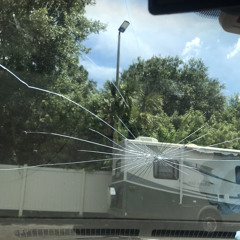 WHO TF IS GEN? (snippet)