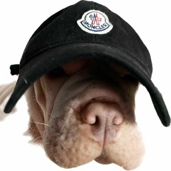 digging into trip 34 sunset (k-rnb)