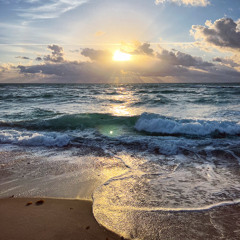 Organic House Micro Set | Miami | FL