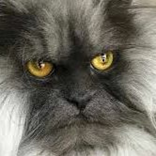 Бананчики 1 Час