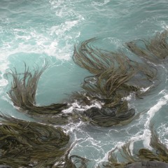 Mindfulness - Connect With Our "Hold-fast"