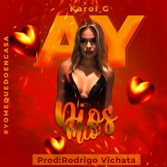 102 BPM ✘ Fiestero ✘Ay Dios Mio Karol G ✘ V I C H A T A D J Pack #2K20