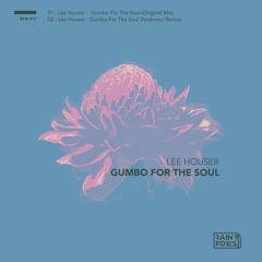 Gumbo For The Soul (Original Mix)RFM017PREVIEW