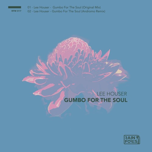 Gumbo For The Soul (Andromo Remix)RFM017PREVIEW