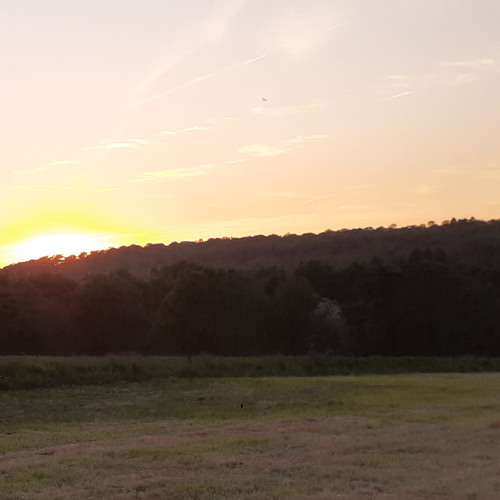 SI J'AVAIS PU PEINDRE UNE TOILE!