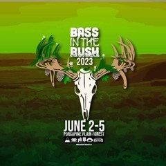 Bass In The Bog 2023 Studio Mix