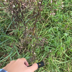 49m² | 新录音 138