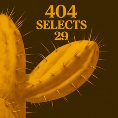 404 Selects #29