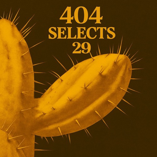 404 Selects #29