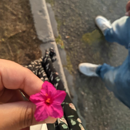 أعدي لي الأرض كي أستريح .. أحمد الطبيب