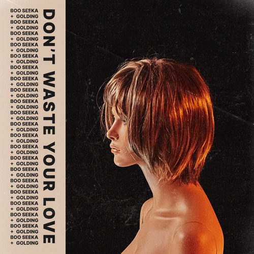 Boo Seeka x Golding - Don't Waste Your Love