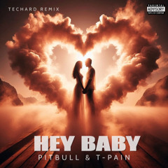 HEY BABY - Pitbull & T-Pain (TECHARD REMIX)