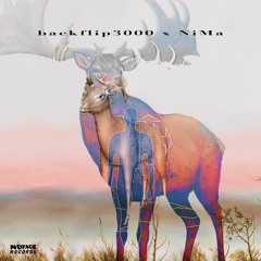 backflip3000 x NiMa - Prettier Songs