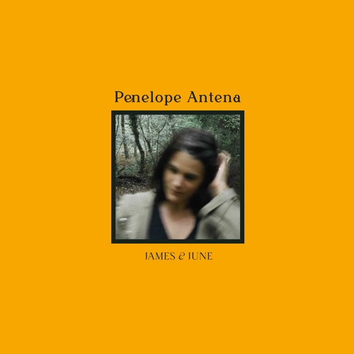 Penelope Antena - Enough