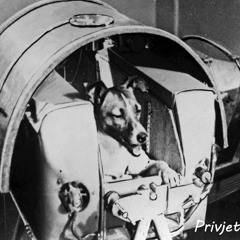 Privjet