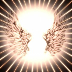 Tranceformation