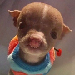 NST VIỆT MIX 2K25 - ĐÁ ĐI ĐÁ ĐI VOL 5 - VIINH TÂYY