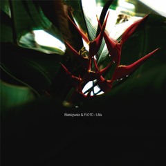 Bassywax & R-010 - Ulia
