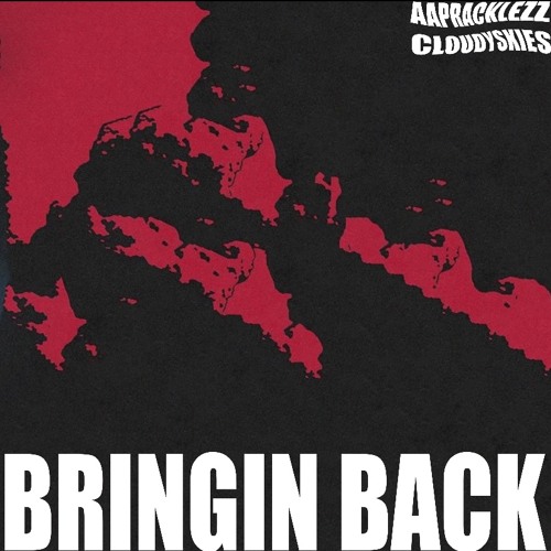 BRINGIN BACK (HIT N RUN 2 NEXT DROP)