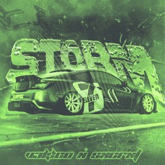 V3L$CO x SxcrxT - STORM