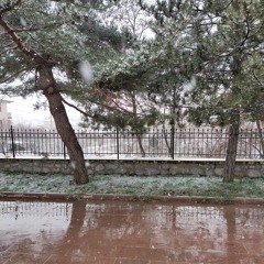 Birth (Beste: Büşra Kayıkçı)