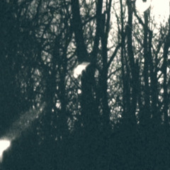 in the attic prod. whylunar