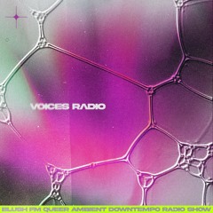 VOICES RADIO