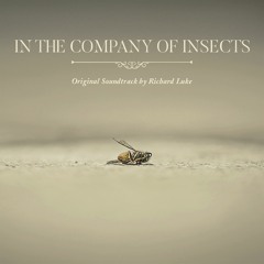 In The Company Of Insects (part III)