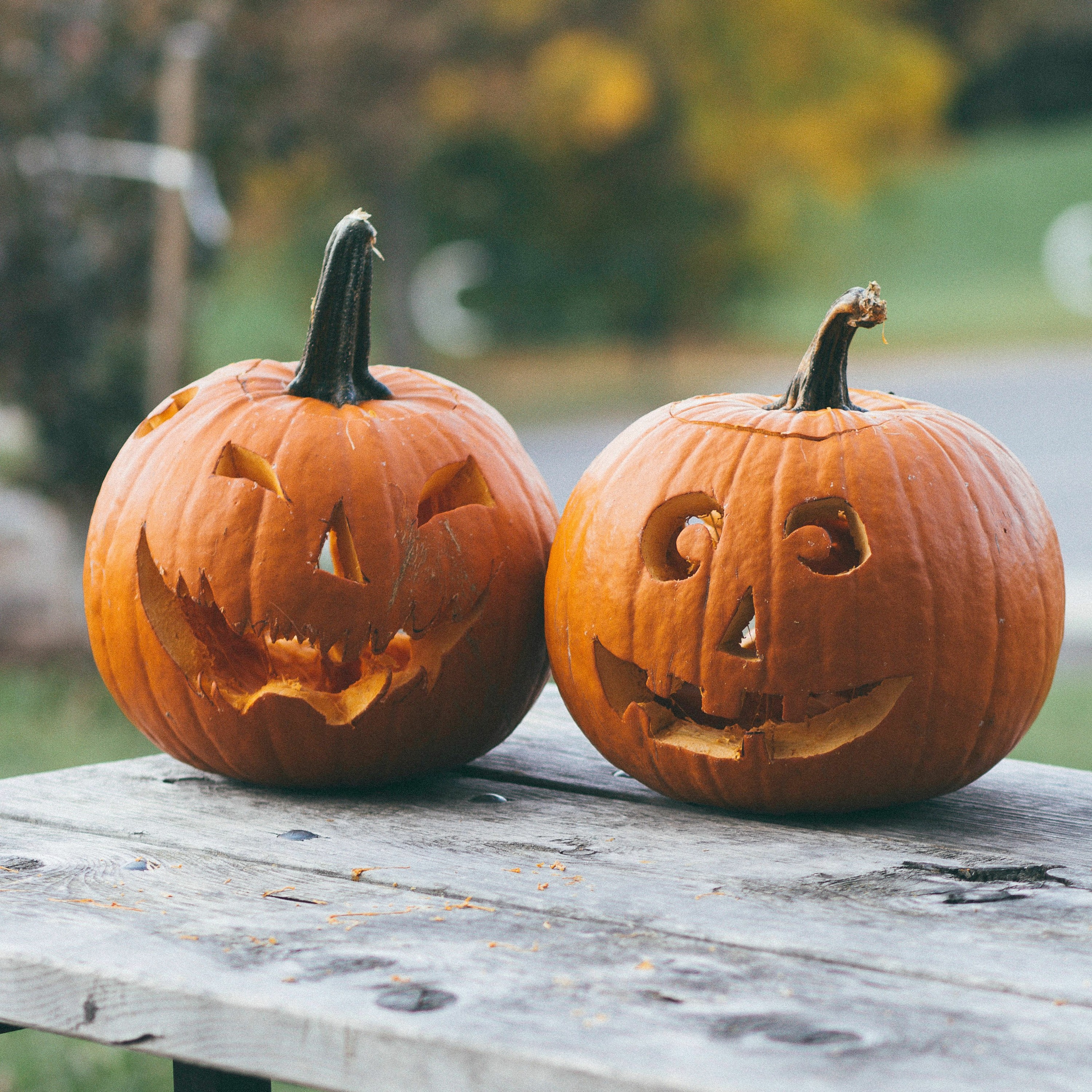 LITTÉRATURE JEUNESSE | Deux lectures d'Halloween pour tout-petits et ados! episode artwork