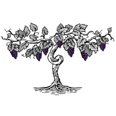 Where Are You With God?