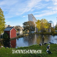 Vandrer i Vanndamman