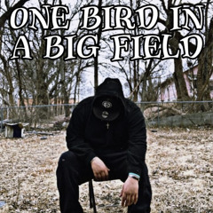 ONE BIRD IN A BIG FIELD