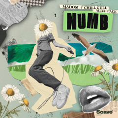 Madom, Chill Gull & Alice Pace - Numb