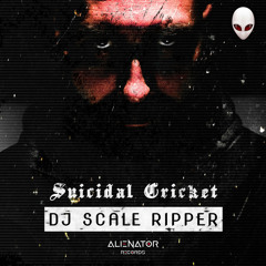 Dj Scale Ripper - Velvet worm (Original Mix)