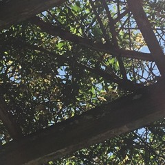 twofold - The Field Of... (WARJUKE 2021 re: @nohighs) [SEND: @alptrack @tankjrtankjr]