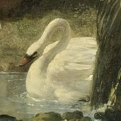 знайсвоёместо