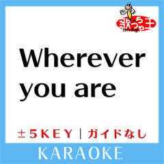 Wherever you are(原曲歌手:ONE OK ROCK)[ガイド無しカラオケ]