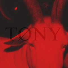 Tøny's back tø hard kicks.