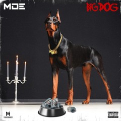 Big Dog
