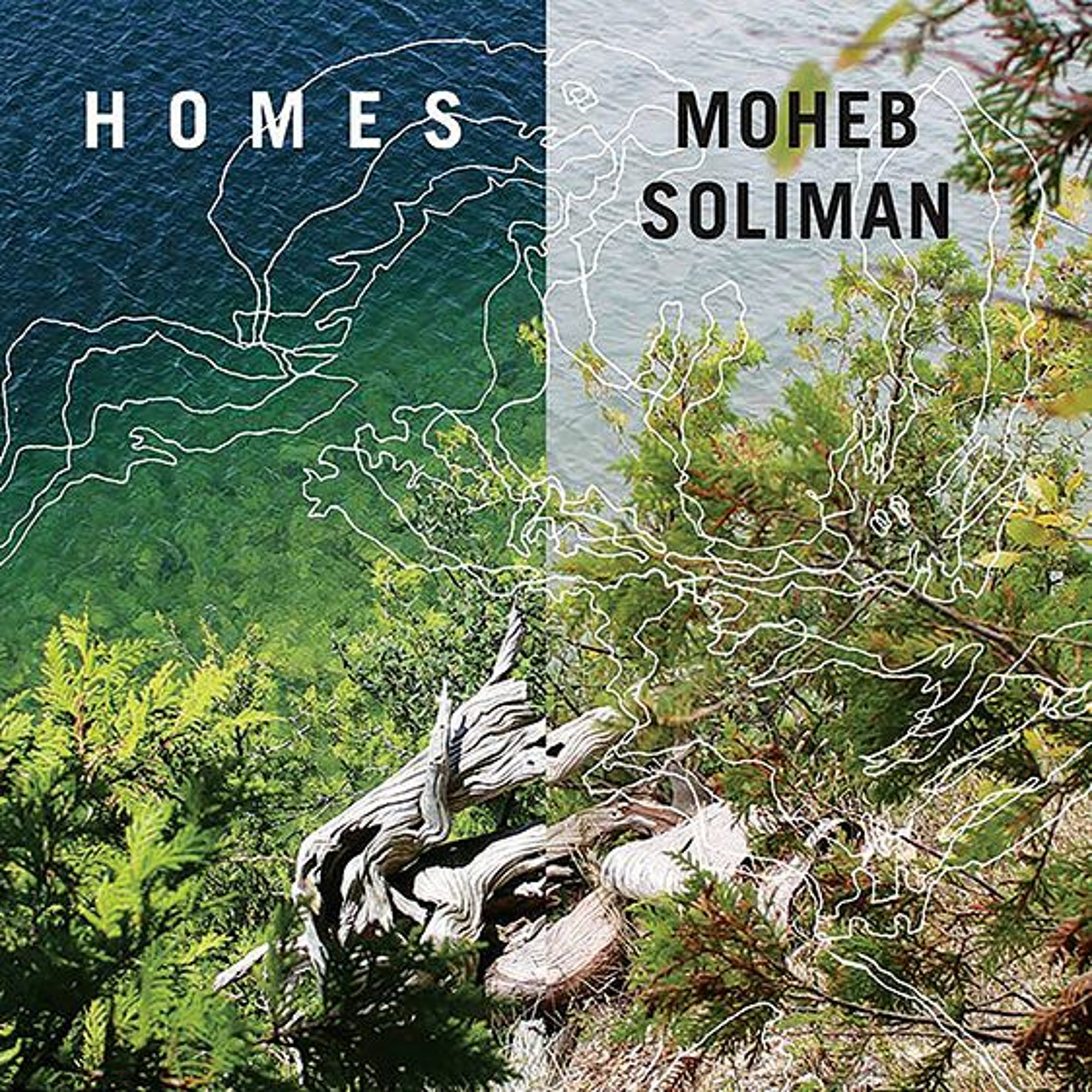 Homes by Moheb Soliman