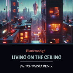 Blancmange - Living On The Ceiling (SwitchTwista Remix)