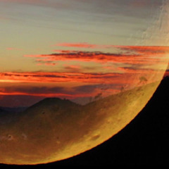 fLU [uzi & playboi carti type beat]