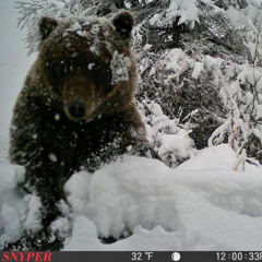 a really sad song ft jlee