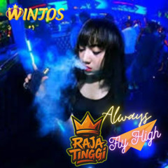 DJ BREAKBEAT BABY DONT GO Tembak Langit 2025 - Raja Tinggi Req By Winjos VOL.05