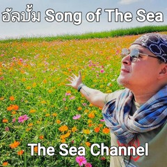 รวมเพลงฮิต The Sea (#The sea channel)