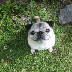 может быть (prod. whyuskywait!)